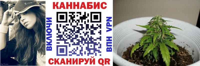 Каннабис Amnesia  omg зеркало  Ростов 