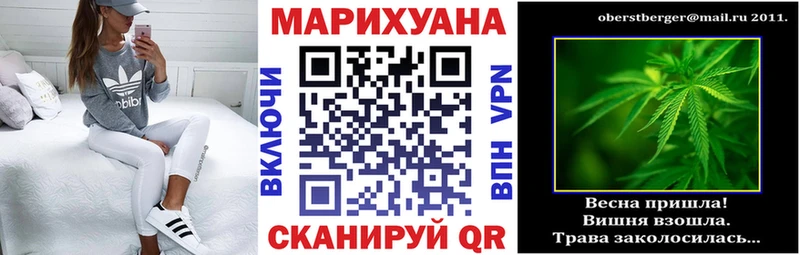 МАРИХУАНА сатива Ростов